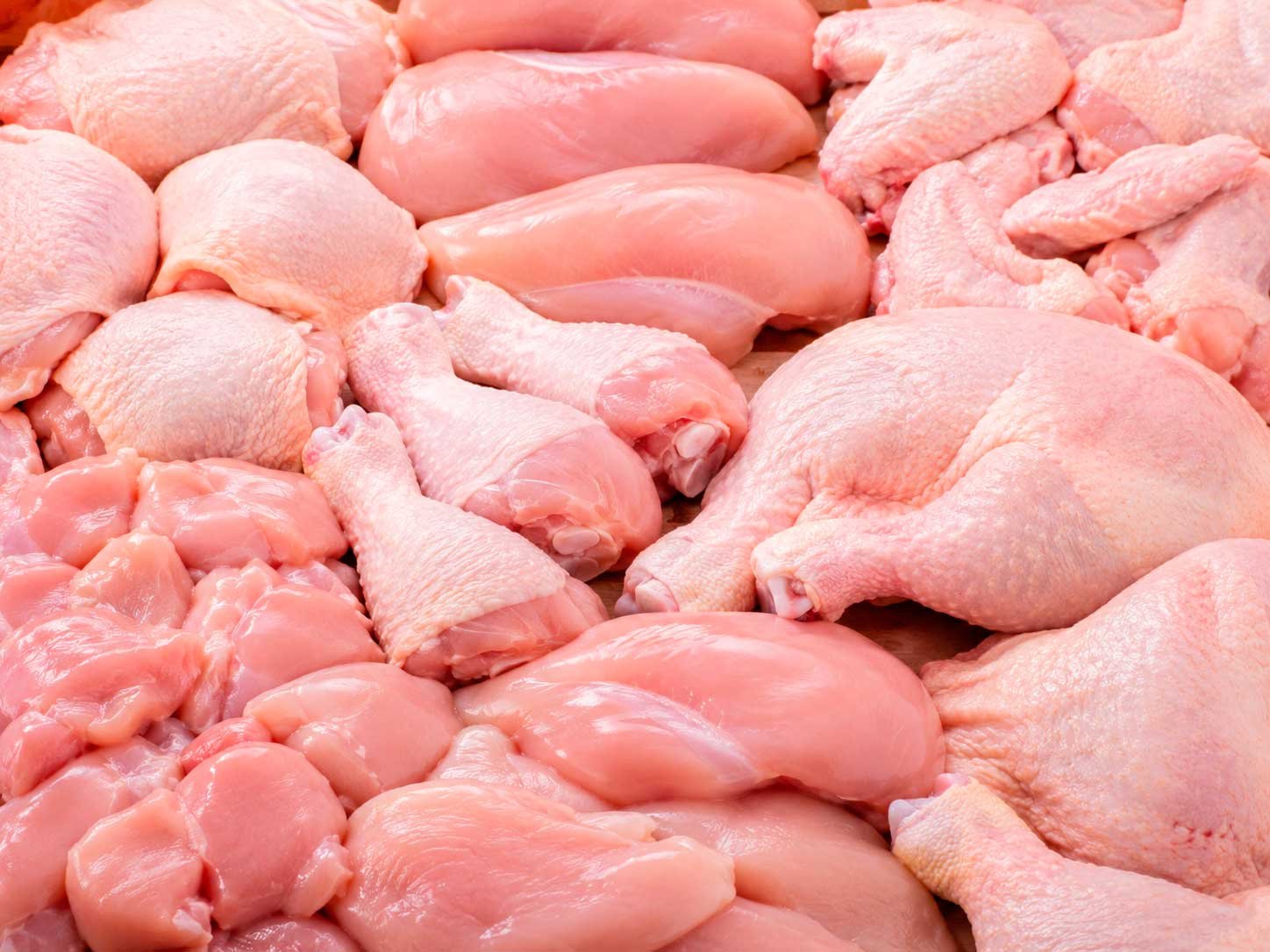 Carne de pollo